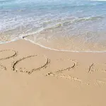 Estate 2025, le borse immancabili nel guardaroba femminile